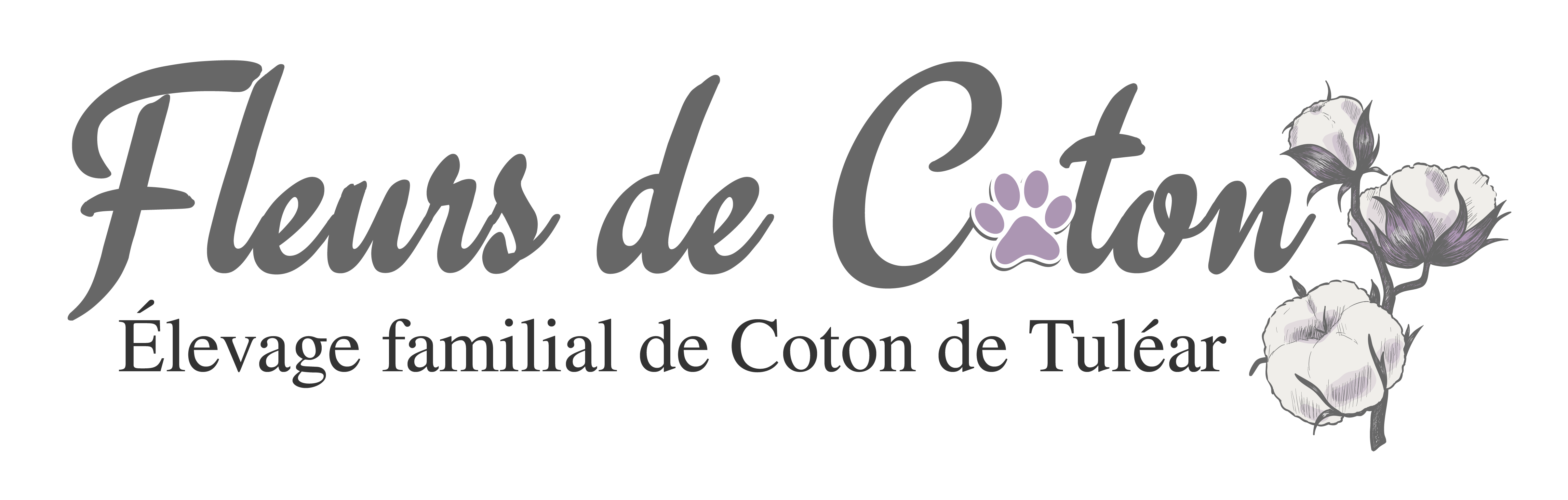 Fleurs de Coton